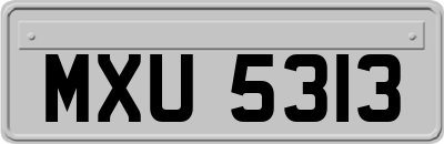 MXU5313