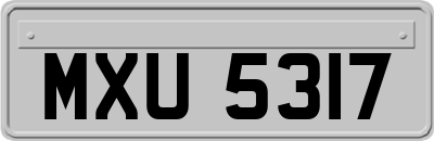 MXU5317