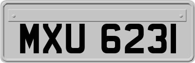 MXU6231