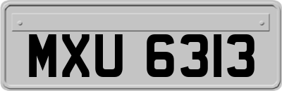 MXU6313