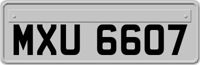 MXU6607
