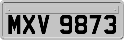 MXV9873