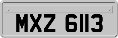 MXZ6113
