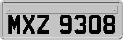 MXZ9308