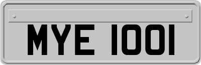 MYE1001