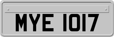 MYE1017
