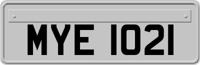 MYE1021