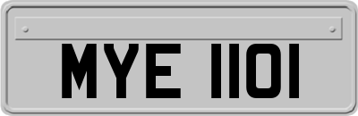 MYE1101