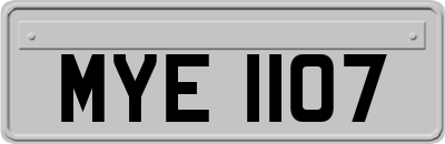 MYE1107