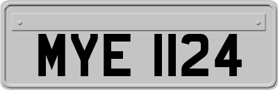 MYE1124