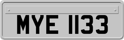 MYE1133