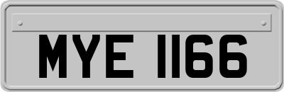 MYE1166