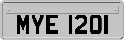 MYE1201