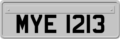 MYE1213