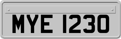 MYE1230