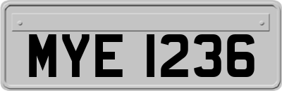 MYE1236
