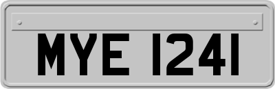 MYE1241