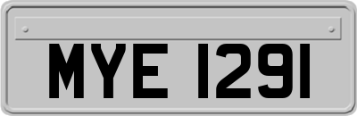 MYE1291