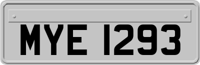 MYE1293