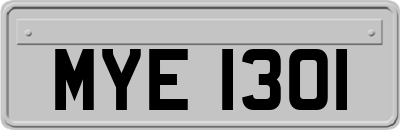 MYE1301