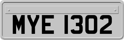 MYE1302