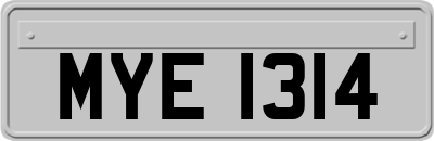 MYE1314