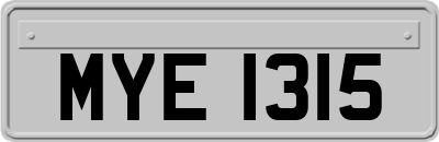 MYE1315