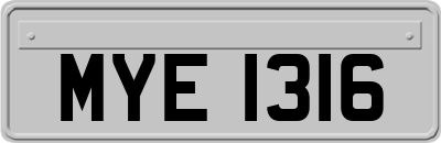 MYE1316
