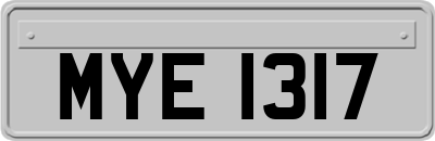 MYE1317