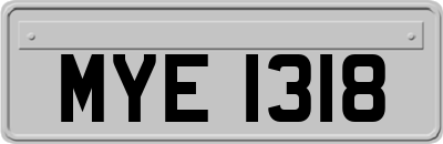 MYE1318