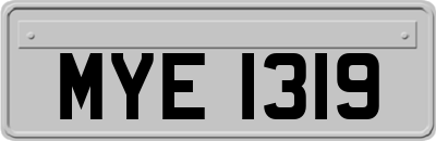 MYE1319