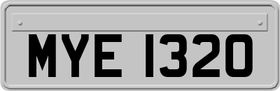 MYE1320