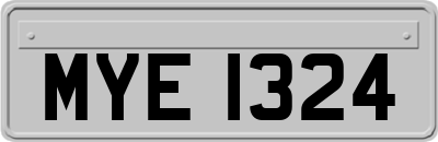 MYE1324