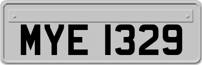 MYE1329