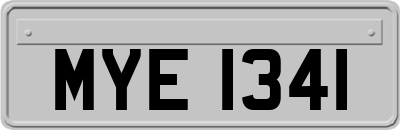 MYE1341
