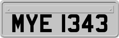 MYE1343