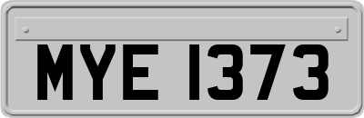 MYE1373