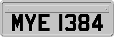 MYE1384