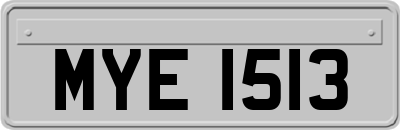 MYE1513