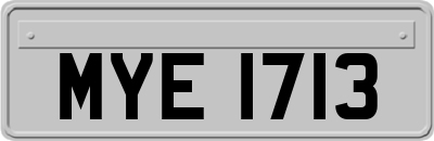 MYE1713