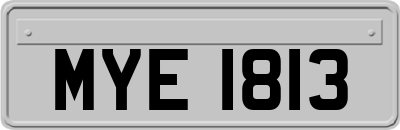 MYE1813