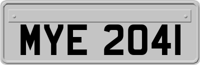 MYE2041