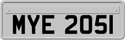MYE2051