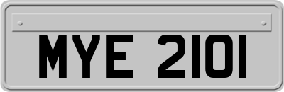 MYE2101