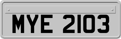MYE2103