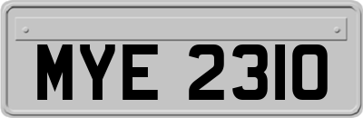 MYE2310