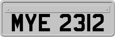 MYE2312