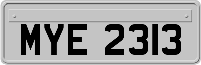 MYE2313