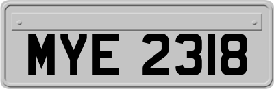 MYE2318