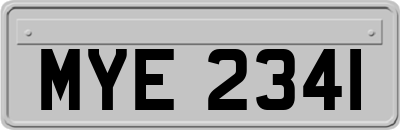 MYE2341